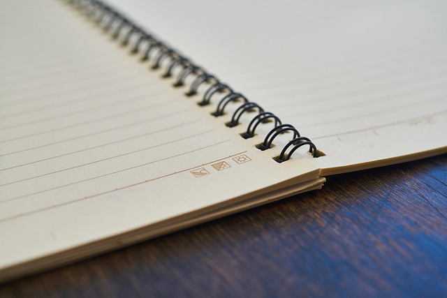 notebook with budget notes Mexico City